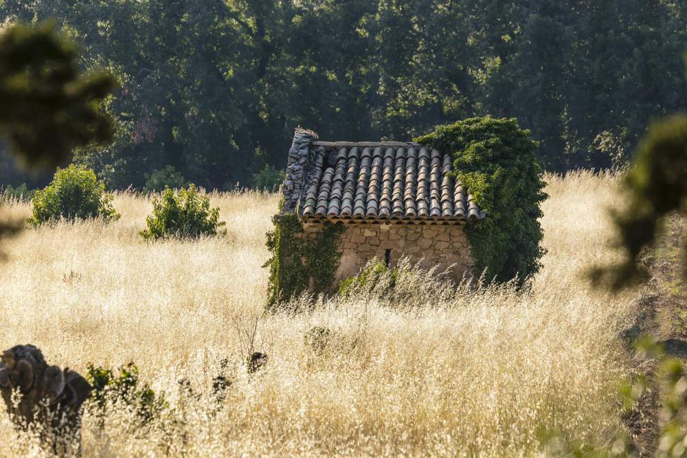 Le Mas de Guilles Charming, 4-star hotel in Lourmarin, Luberon